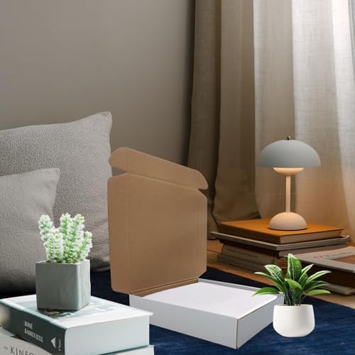 10x10x2 inch Shipping Boxes Set of 25, White Corrugated Cardboard Mailers