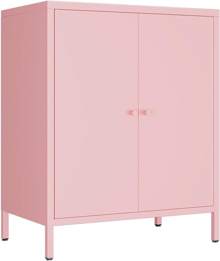 2 Door Metal Accent Storage Cabinet for Home, Living Room,Office Room,Kitchen...