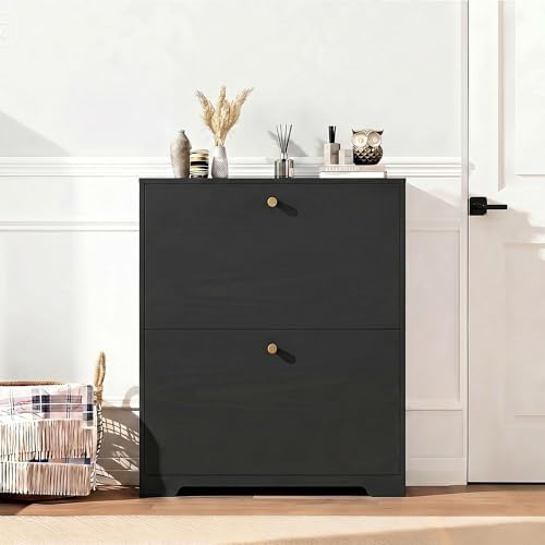 Nicetree Shoe Storage Cabinet with 2 Flip Drawer, Narrow Slim 2-Tier Shoe Org...