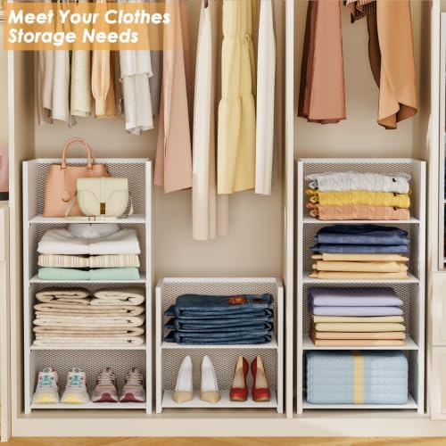 4Tier Closet Organizers and Storage Basket,Stackable Closet Shelf Organizer