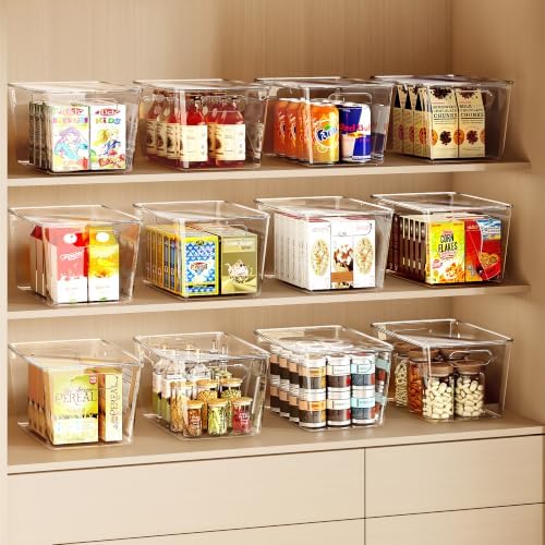 8 Pack Clear Plastic Storage Bins with Lids Stackable, XLarge