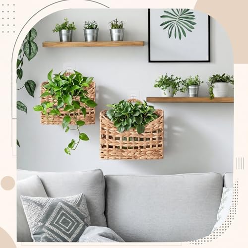 Mifoci 2 Pcs Wicker Hanging Wall Basket Woven Basket Natural Water Hyacinth
