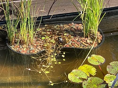 PondH2o Contour Kidney Shaped Pond Plant Basket, 17 Inch (44cm)