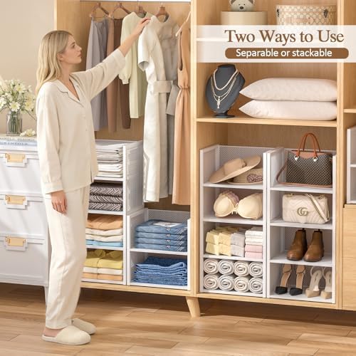 2-Tier Stackable Closet Organizers and Storage Basket, Wire Clothes Shelf Org...