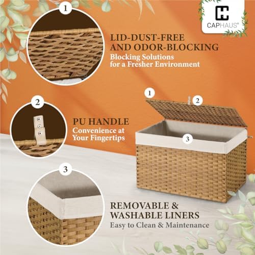 CAPHAUS Handwoven Storage Basket w/Lid and Handles, 2 Removable Liner Bags, F...