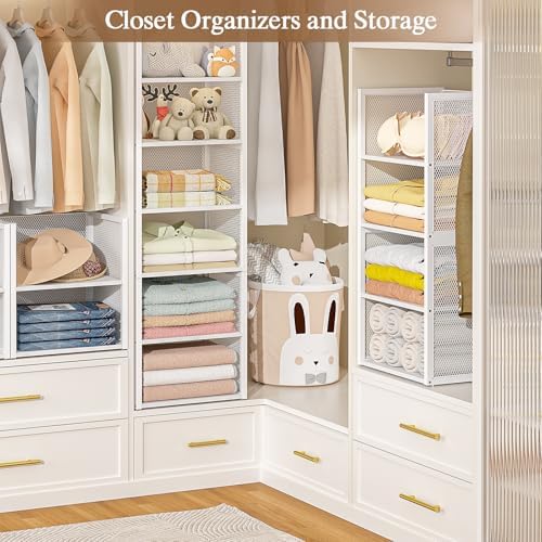 2-Tier Stackable Closet Organizers and Storage Basket, Wire Clothes Shelf Org...