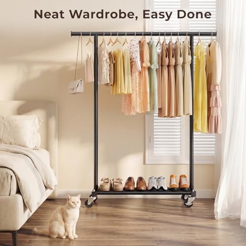 Clothing Rack for Hanging Clothes, 45" Wide Rolling Clothes Rack, Metal ...