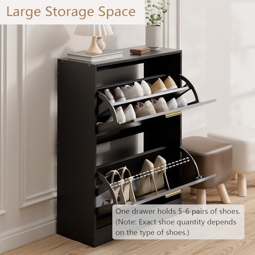 LYNSOM Modern Entryway Shoe Cabinet with 2 Flip Drawers and Top Display, Blac...