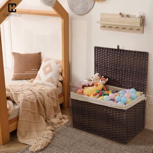 CAPHAUS Handwoven Storage Basket w/Lid and Handles, 2 Removable Liner Bags, F...