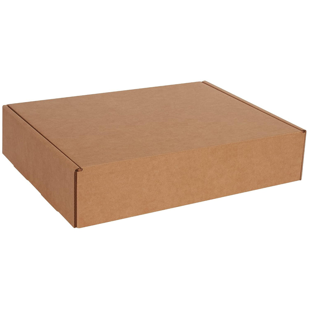 BOX USA Moving Boxes Large 18"L x 14"W x 4"H 25-Pack, Cardboar...