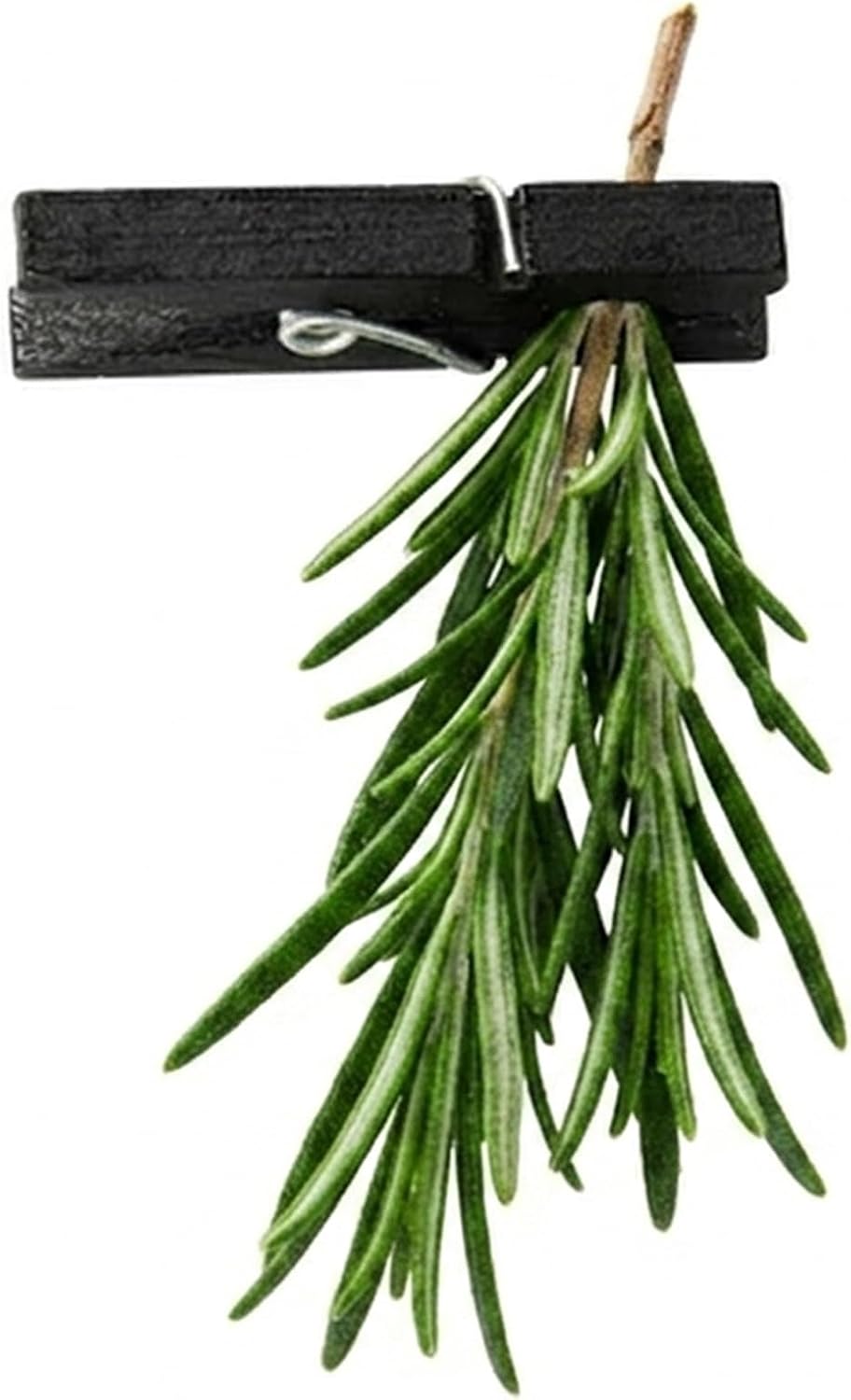 Restaurantware 1 1/4 in Black Bamboo Mini Clothespins, Food Clips, 500 Ct