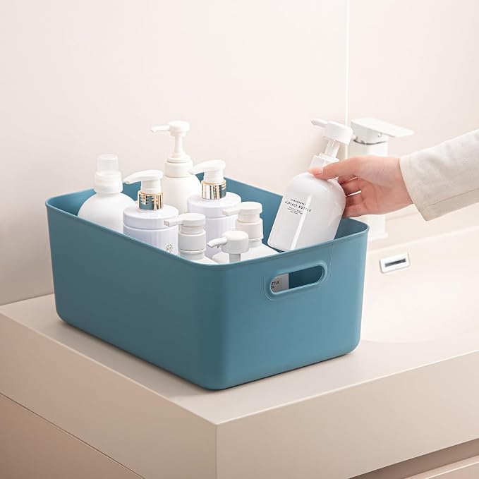 Plastic Storage Bins with lids, Storage Baskets, Container with handle