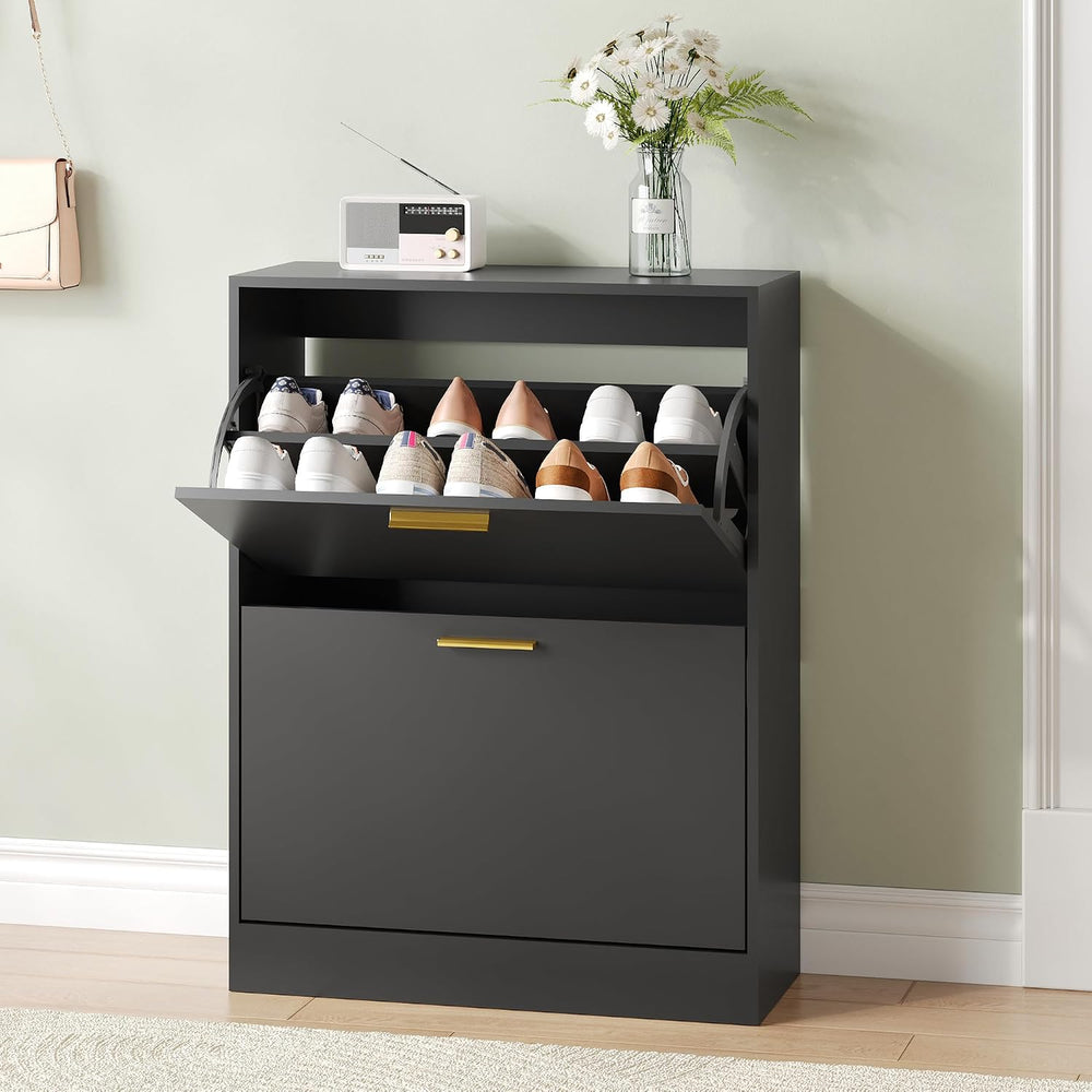 Shoe Storage Cabinet with 2 Flip Drawers and Rectangular Base, Black丨Modern S...