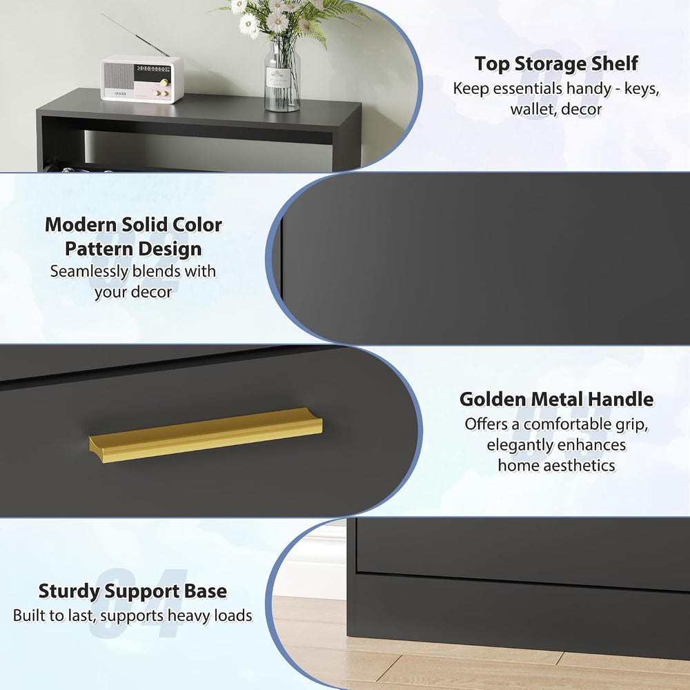 Shoe Storage Cabinet with 2 Flip Drawers and Rectangular Base, Black丨Modern S...