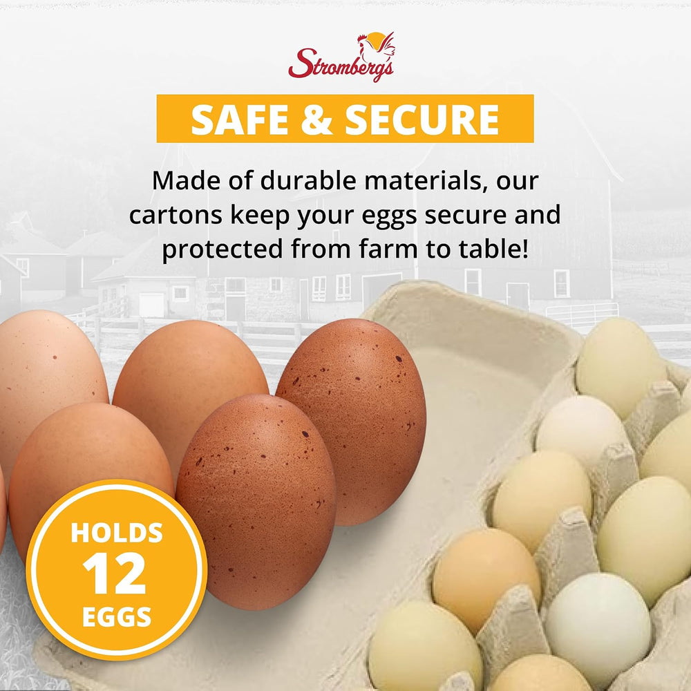 Stromberg's Large Blank Flat Top Chicken Egg Cartons, 100 Pack