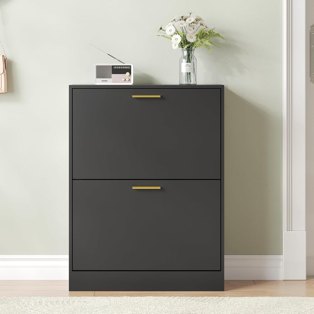 Shoe Storage Cabinet with 2 Flip Drawers and Rectangular Base, Black丨Modern S...