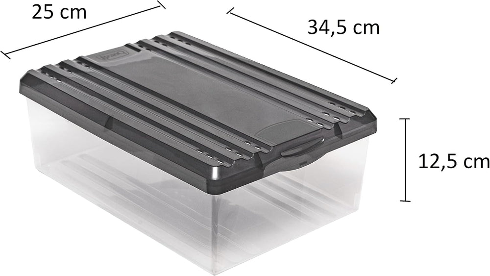 BranQ - Home essential Shoe Box with Ventilation Holes and Plastic Lid, 8 L, ...