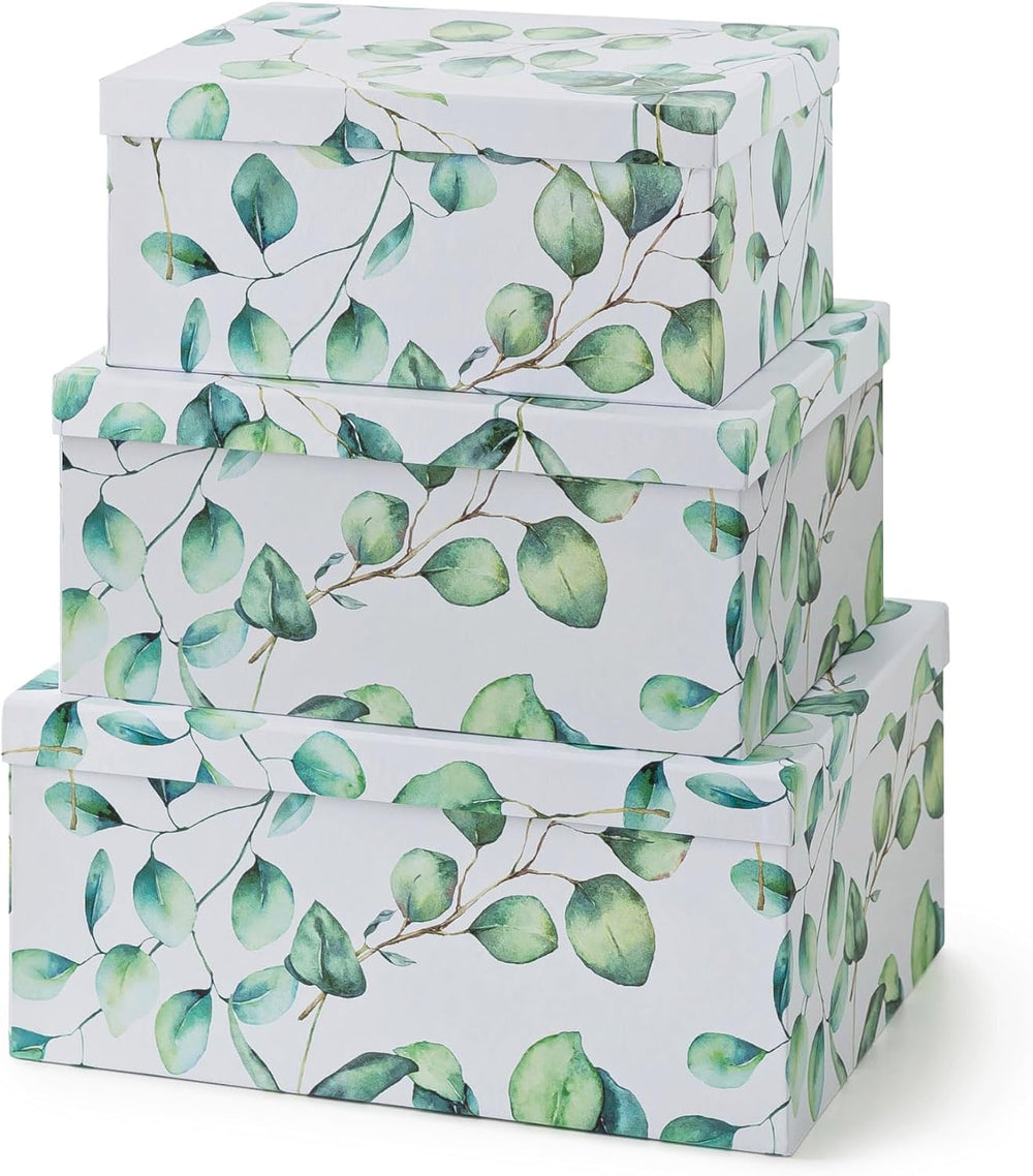 Soul & Lane - Eucalyptus Decorative Storage Boxes with Lids, Set of 3