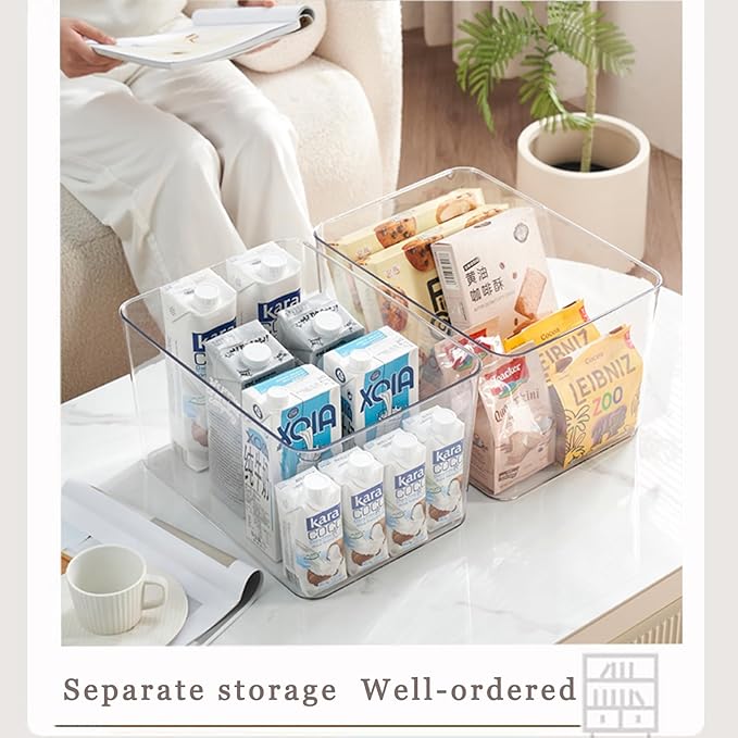 Clear plastic storage bins
