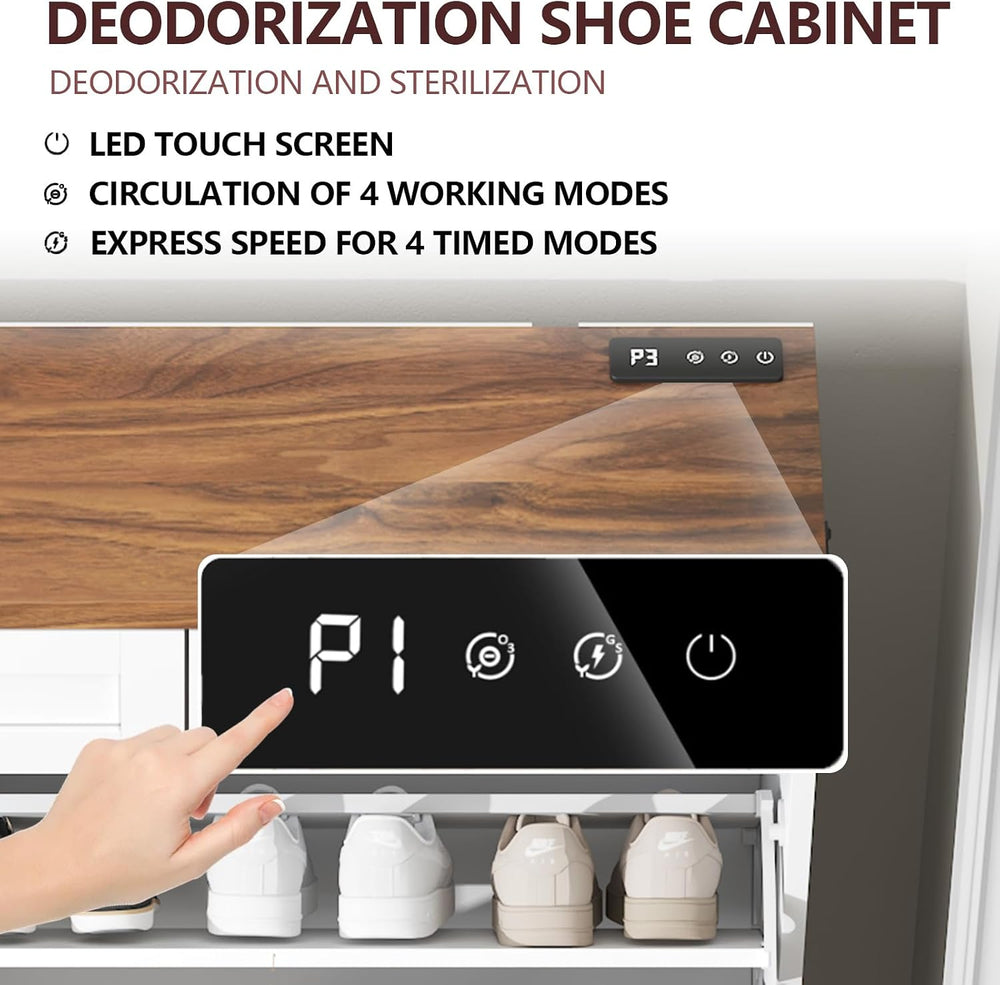 Shoe Cabinet with 2 Flip Drawers and Deodorizing Function, Hidden Shoe Storag...