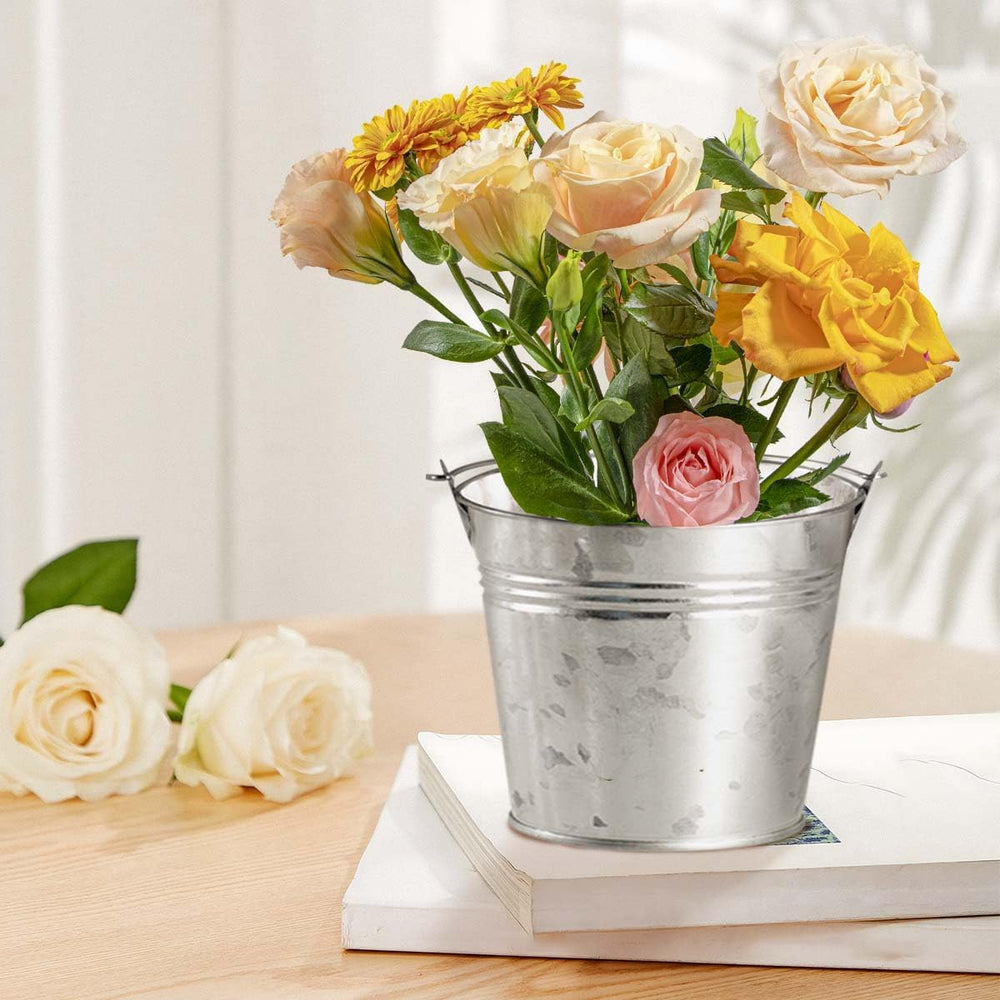 OBTANIM 8 Pack Galvanized Metal Buckets with Handle Ice Pails for Plants, Suc...