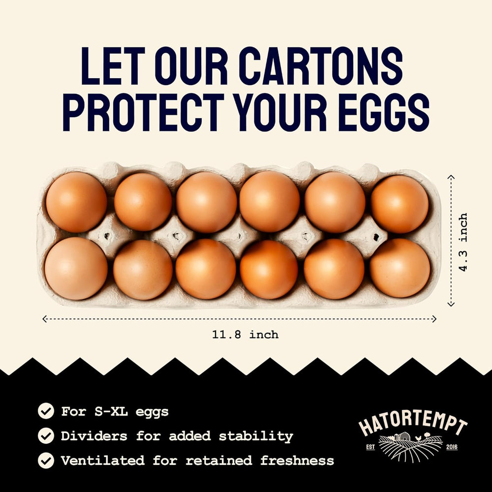Hatortempt 48pc Egg Cartons Cheap Bulk 12 Count, Reusable Dozen Egg Crates