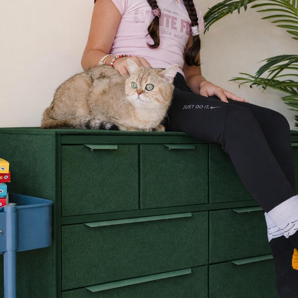 tinge Naima Premium Fabric Dresser - Strong Metal Frame, 10 Spacious Sag-Proo...