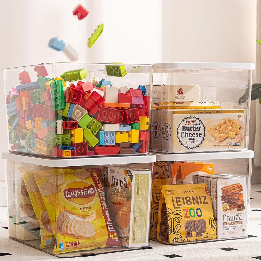 Clear plastic storage bins