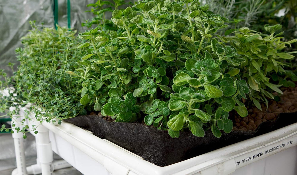 Smart Pot Tray Liner, Raised Bed Flood, 3 ft x 3 ft x 1 ft (36" x 36&quo...