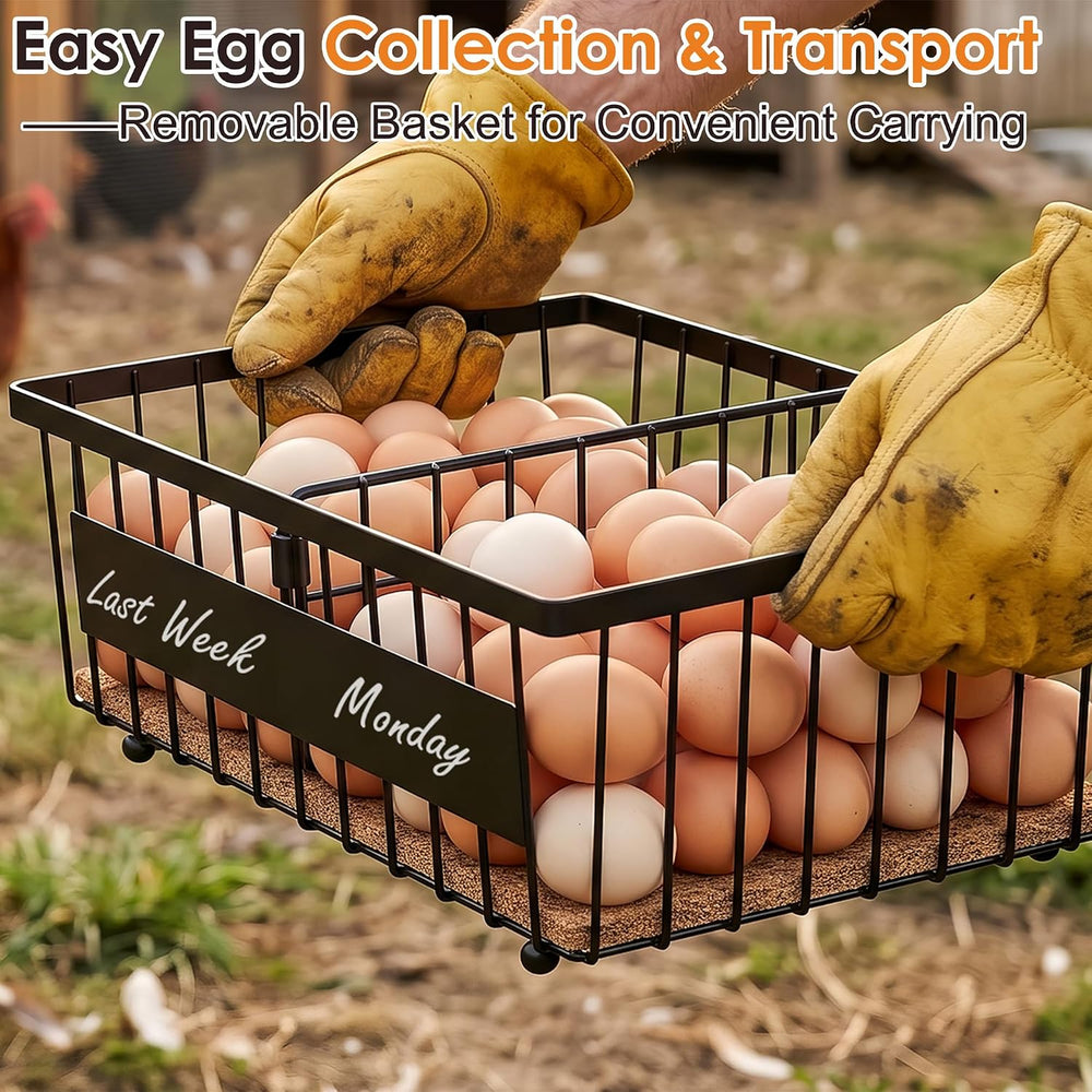 Egg Holder Countertop with Coco Coir Liner & 5 Dividers for Egg Storage