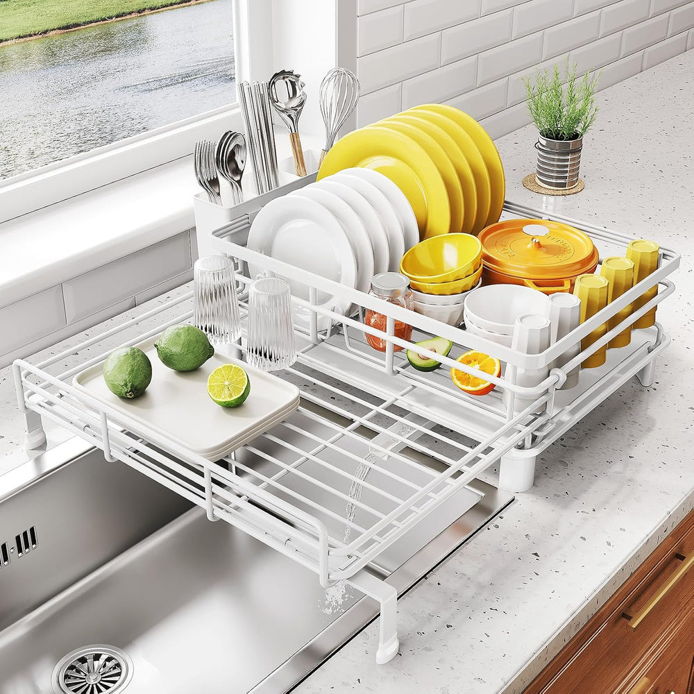 Expandable Dish Drying Rack for Kitchen Counter, Stainless Steel, White
