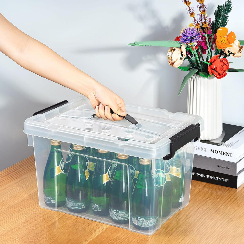 Cetomo Lidded Storage Bin with Handle, Storage Bins with Lid, Organizing Cont...