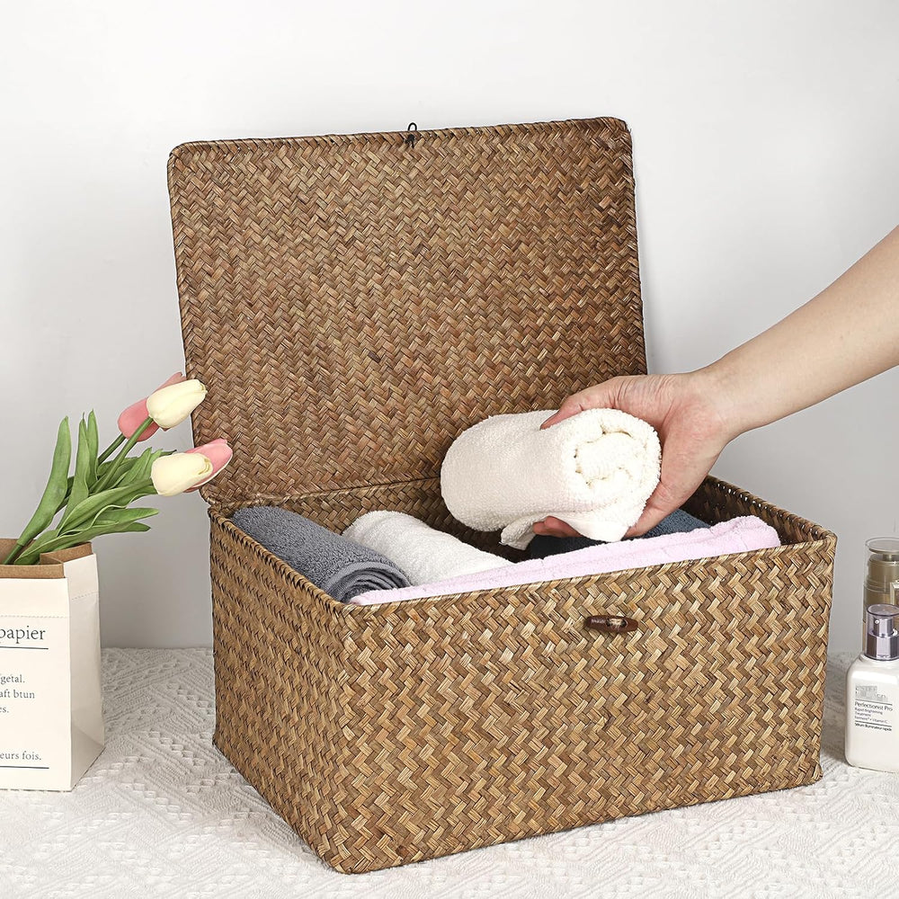 Hipiwe Wicker Shelf Baskets Bin with Lid Woven Storage Box, Coffee X-Large