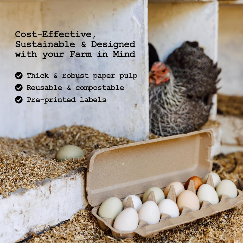 Hatortempt 48pc Egg Cartons Cheap Bulk 12 Count, Reusable Dozen Egg Crates