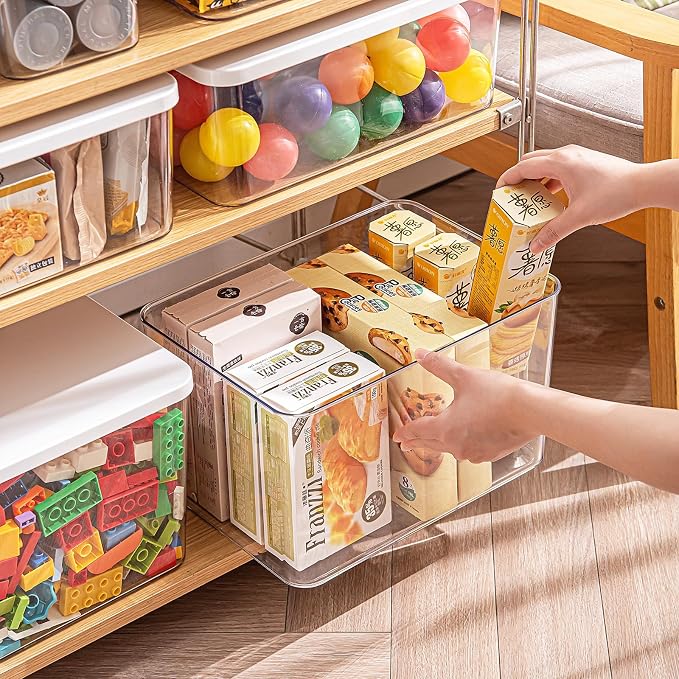 Clear plastic storage bins