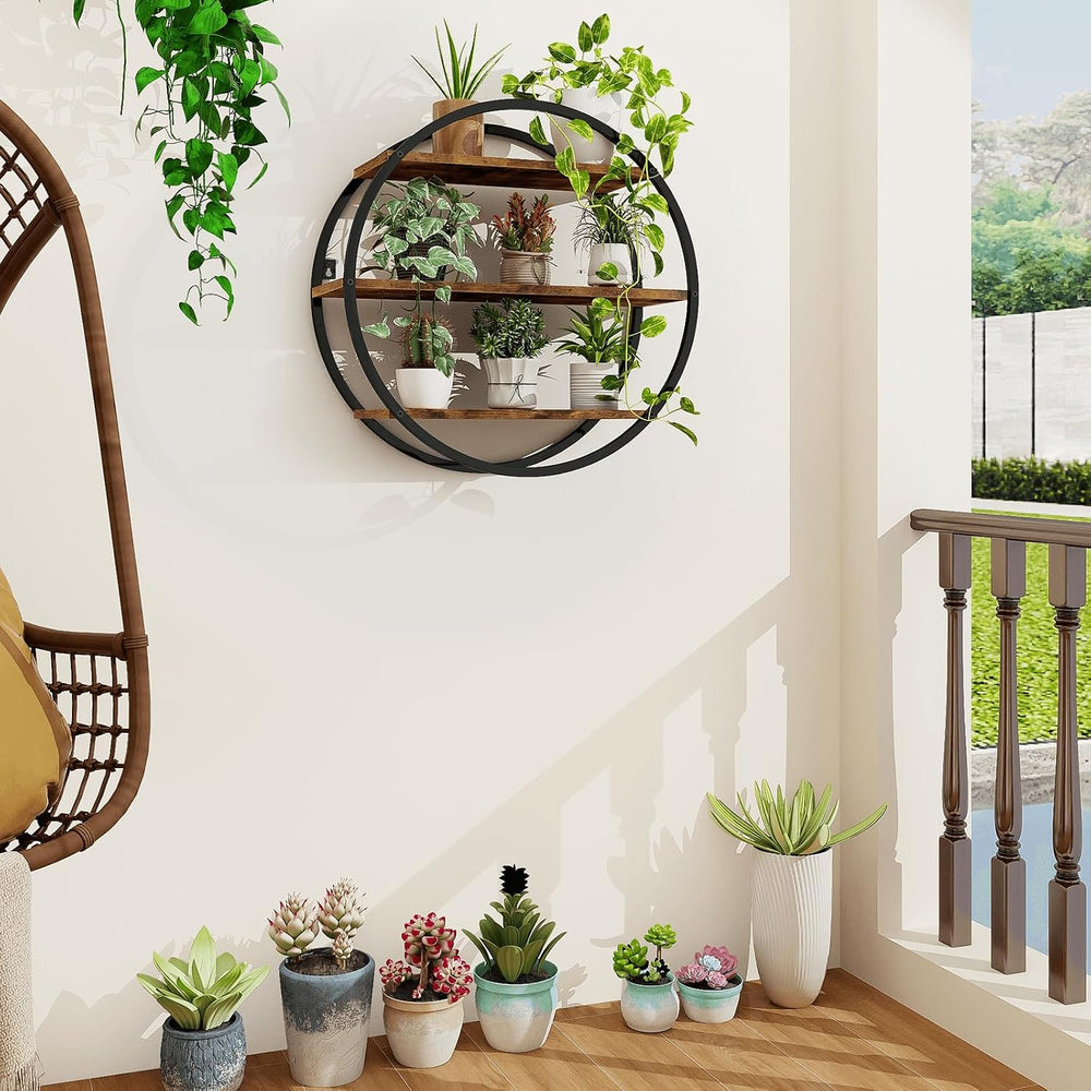 Circle Shelf Wall Decor, 3 Tier Decorative Round Wall Shelf