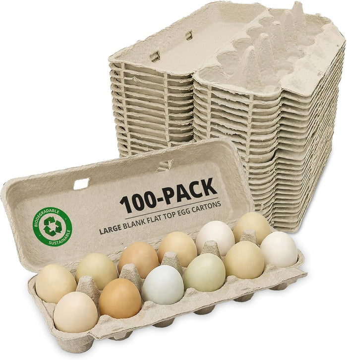 Stromberg's Large Blank Flat Top Chicken Egg Cartons, 100 Pack