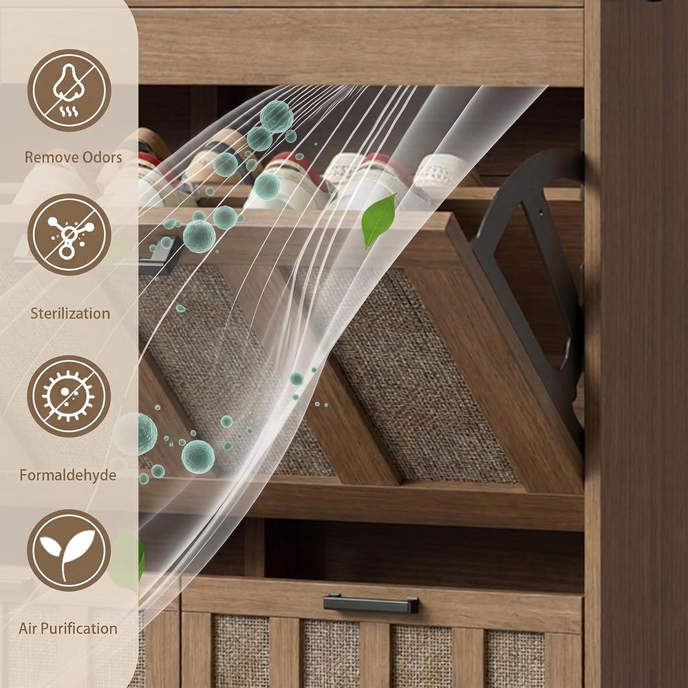 ChooChoo Shoe Storage Cabinet with 4 Flip Drawers and Deodorizer