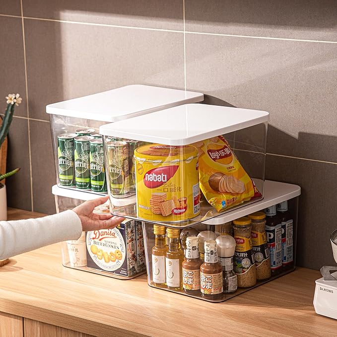 Clear plastic storage bins