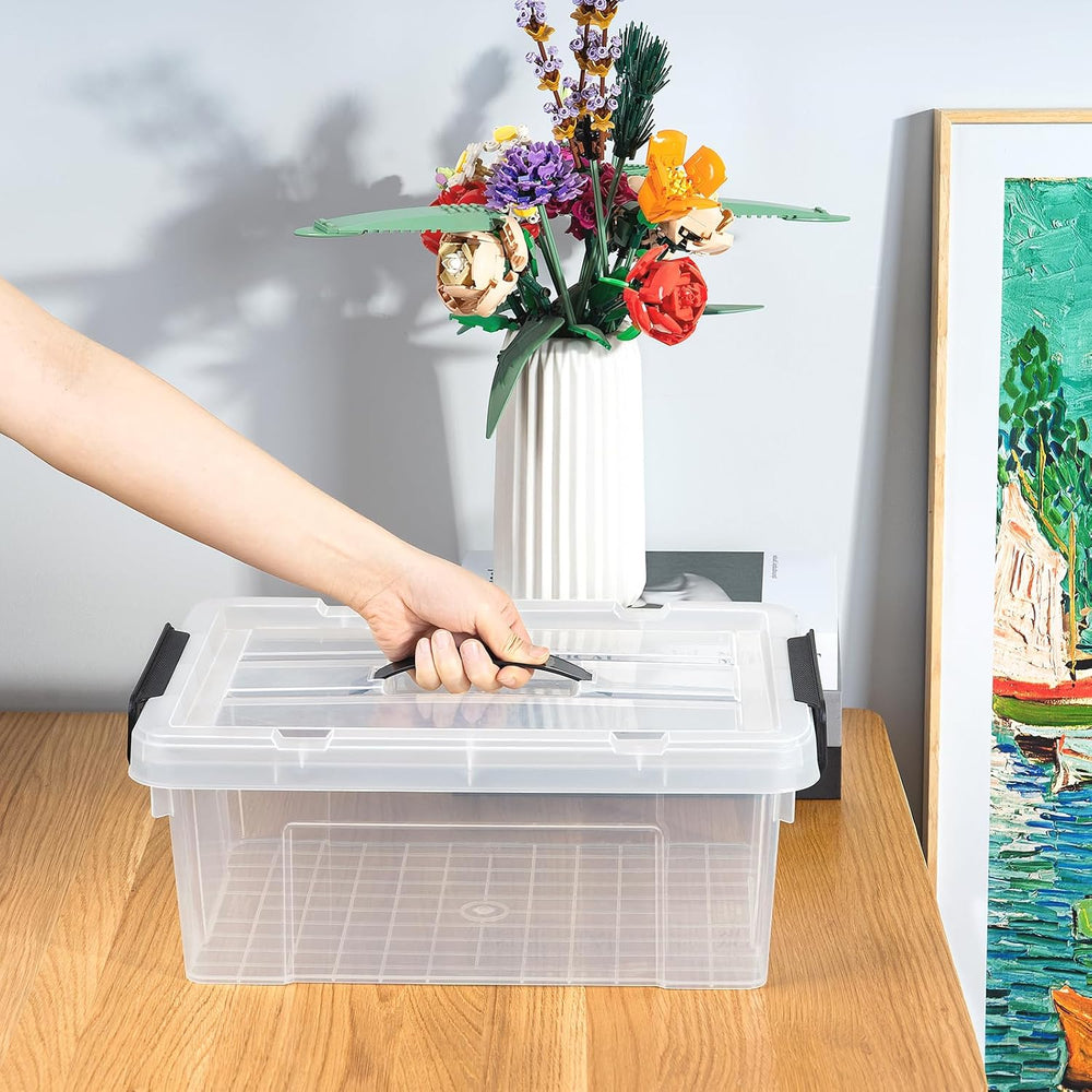 Cetomo Lidded Storage Bin with Handle, Storage Bins with Lid, Organizing Cont...