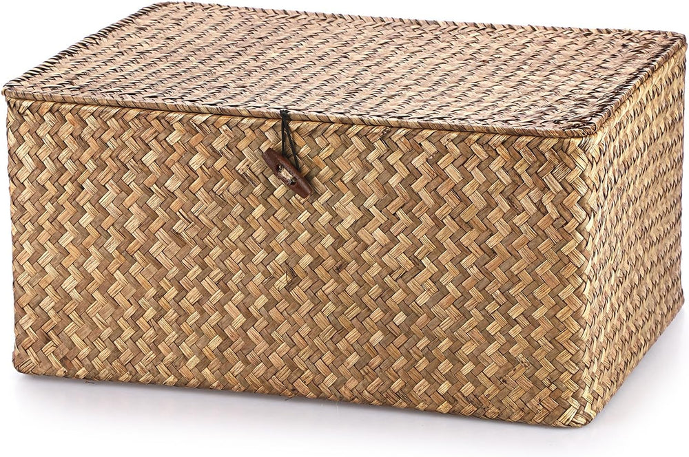 Hipiwe Wicker Shelf Baskets Bin with Lid Woven Storage Box, Coffee X-Large