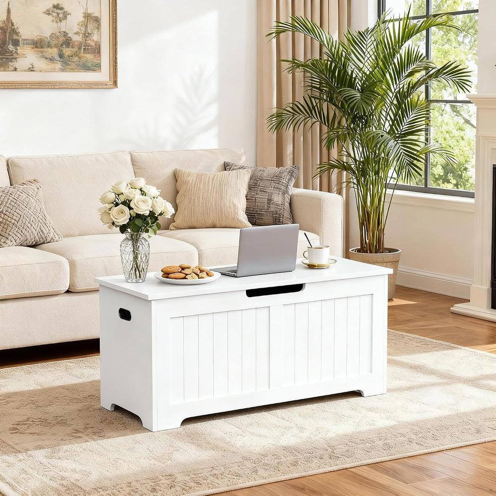 ZENY Storage Chest, Lift Top Storage Trunk, Entryway Shoe Bench, Wooden Stora...