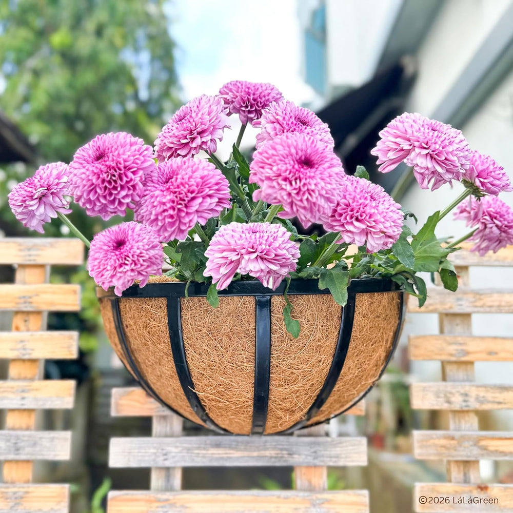 LaLaGreen 12" (10 Pack, Half Round) Coco Liners for Hanging Basket – Bul...