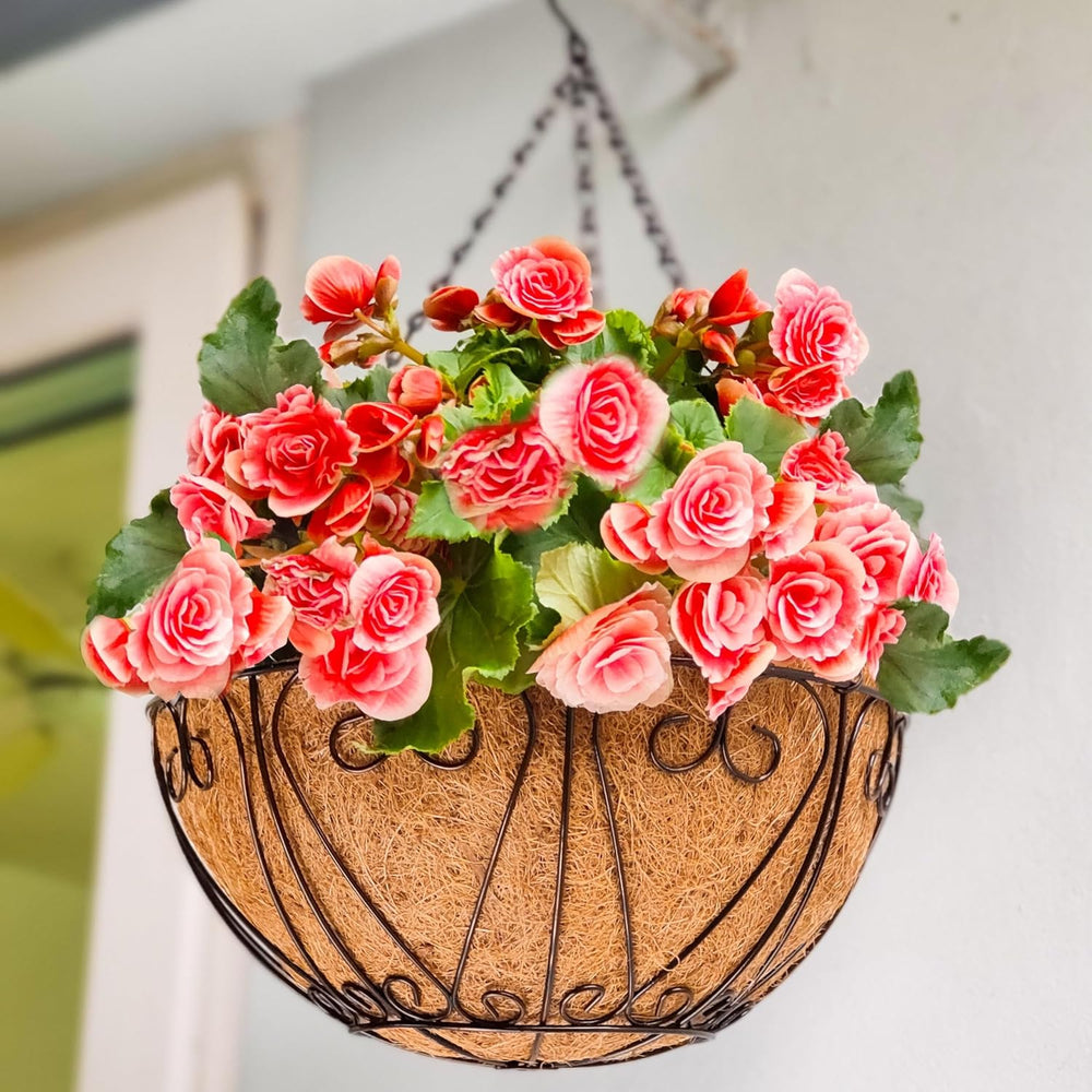 LaLaGreen Hanging Baskets (20 in, 4 Pack) Black Metal Flower Pots with Hook