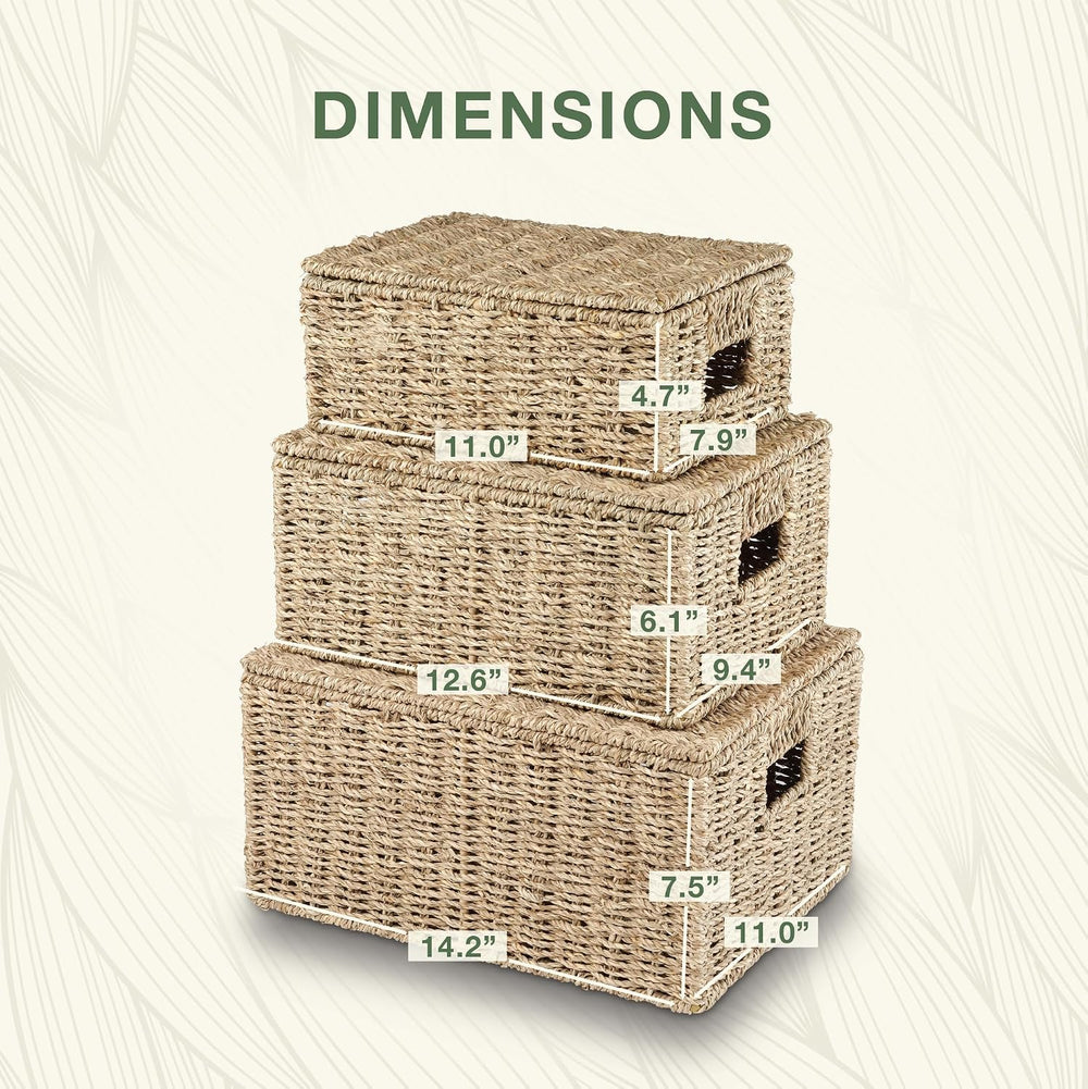Set of 3 Seagrass Storage Baskets with Lid