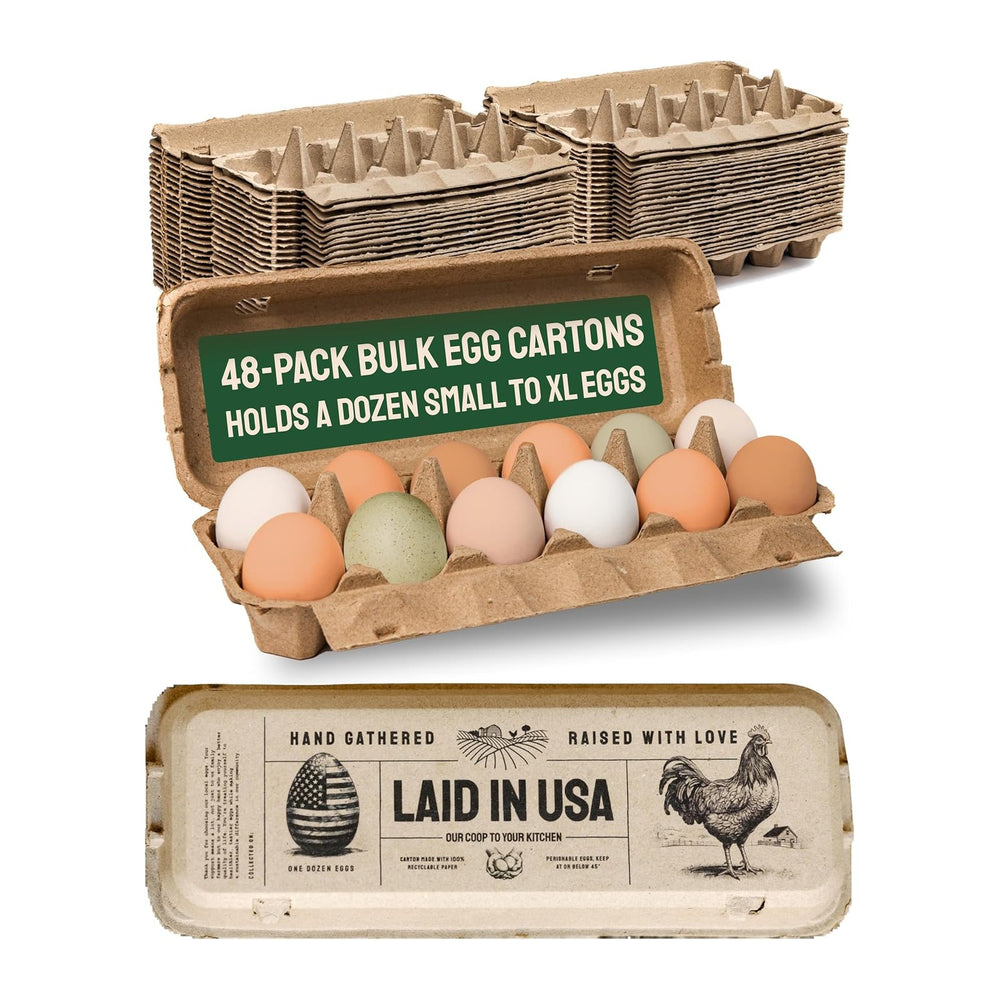 Hatortempt 48pc Egg Cartons Cheap Bulk 12 Count, Reusable Dozen Egg Crates