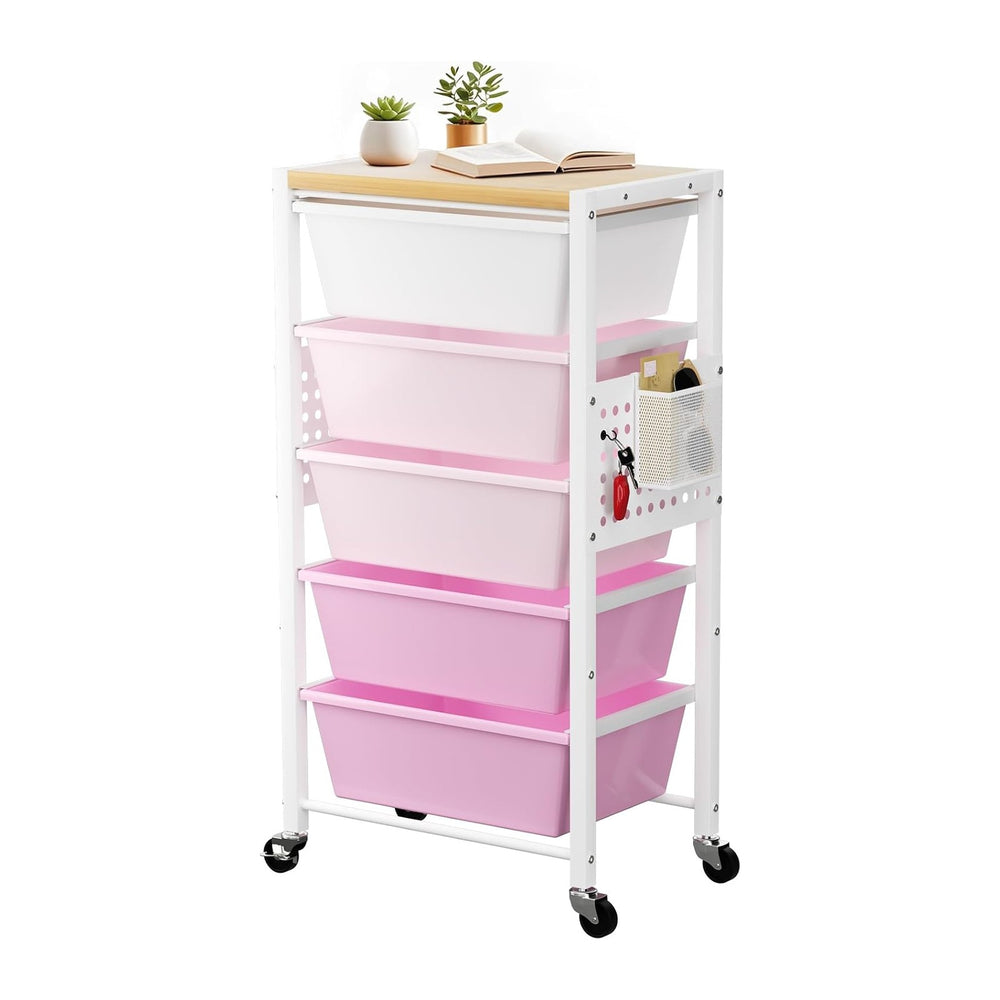 Rolling Cart with 5 Drawers, Plastic Drawer Storage Carts with Wheels & W...