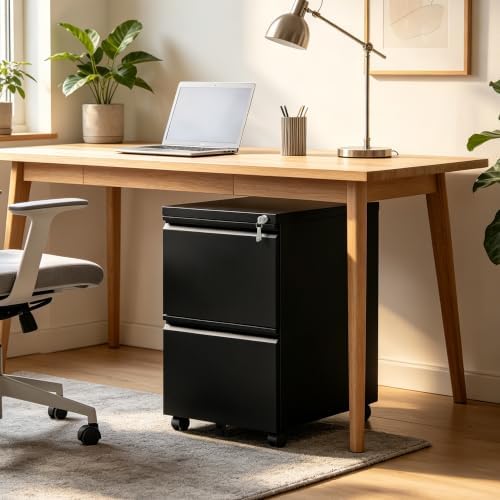 SAWJEC 2 Drawer Rolling File Cabinet Fully Assembled, Black