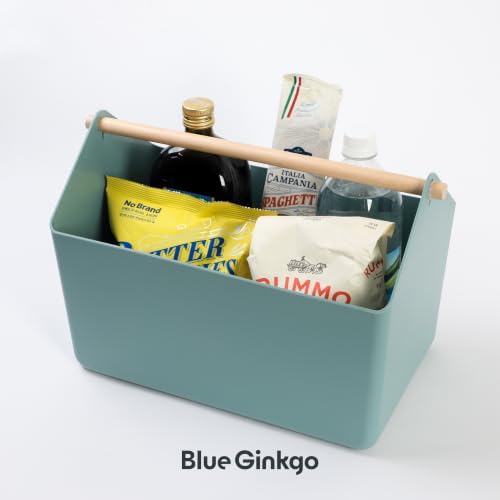 BLUE GINKGO Storage Basket, Large 10.5L, Green, Made in Korea