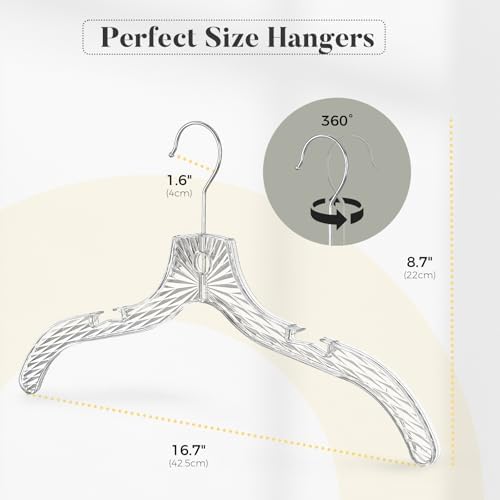 HOUSE DAY Clear Plastic Hangers 25 Pack, Crystal-Style